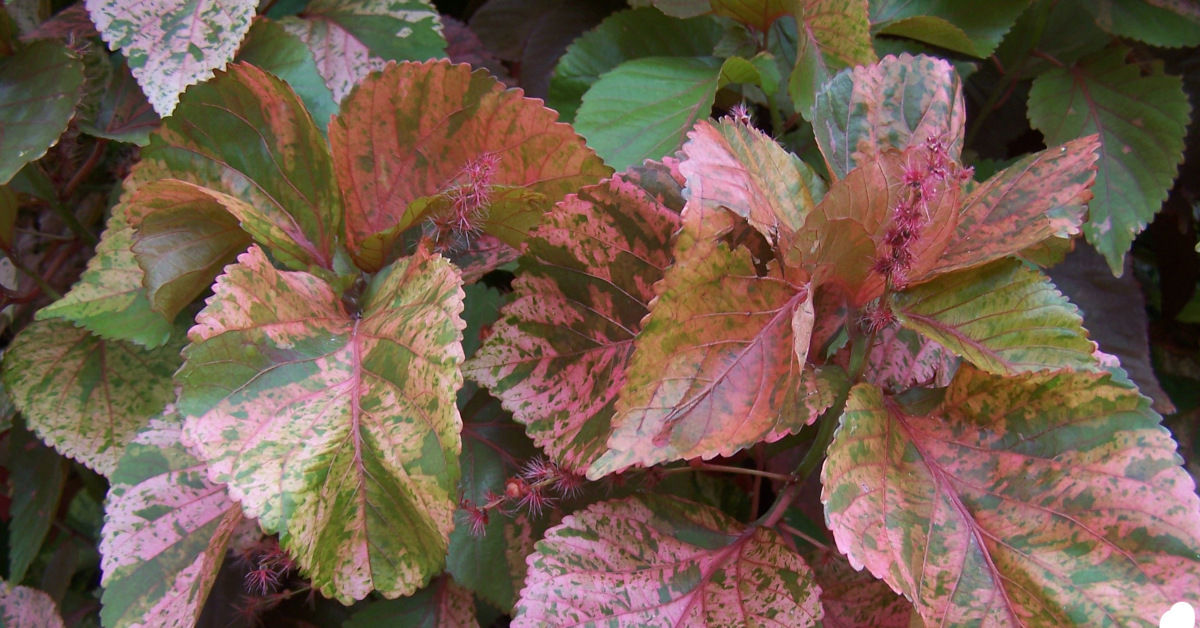 How I cracked the code to becoming a freelance writer