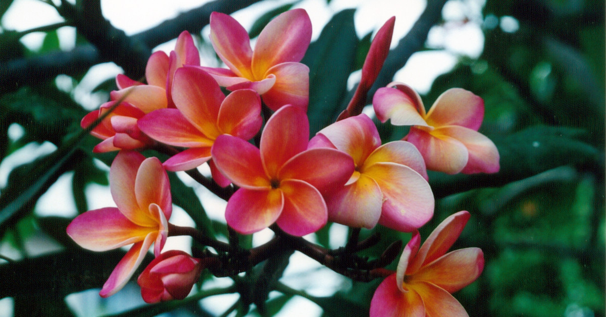 I boosted my writing career with these journalism skills