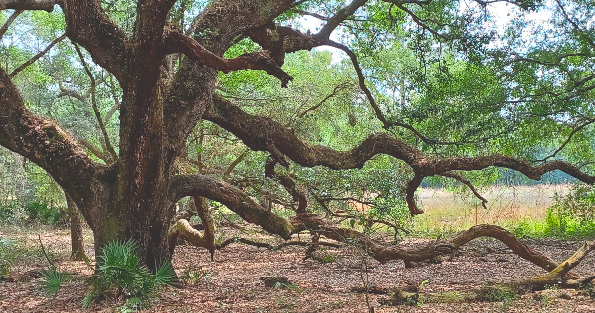 My writing flows effortlessly after using these creativity hacks